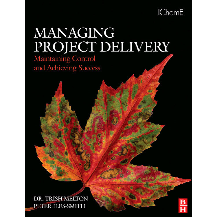 Managing Project Delivery: Maintaining Control and Achieving Success, 1st Edition